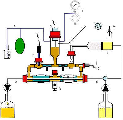 Development of the in vitro Cecal Chicken ALIMEntary tRact mOdel-2 to Study Microbiota Composition and Function